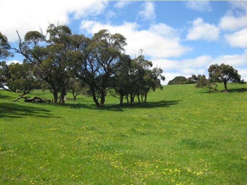 Sec 273 Range Road, Parawa SA 5203