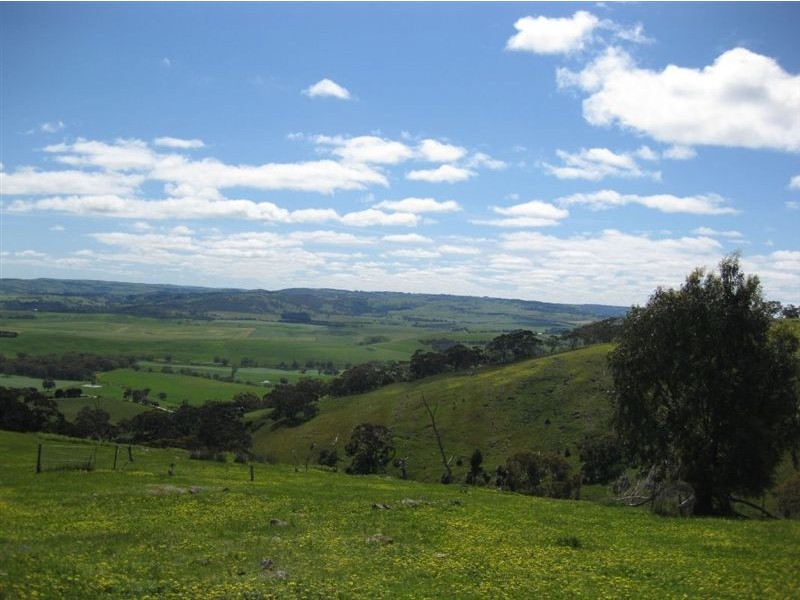 Sec 111 Mount Hayfield Road, Hay Flat SA 5204