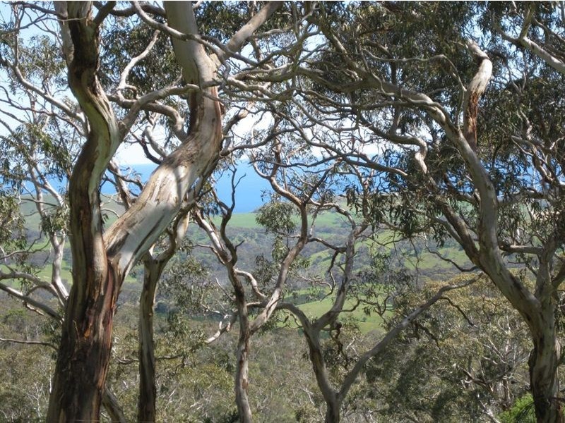 Sec 111 Mount Hayfield Road, Hay Flat SA 5204