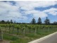 Lot 1 The Vines Drive, Normanville SA 5204