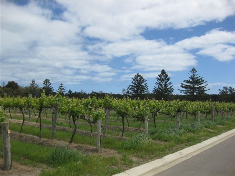 Lot 1 The Vines Drive, Normanville SA 5204