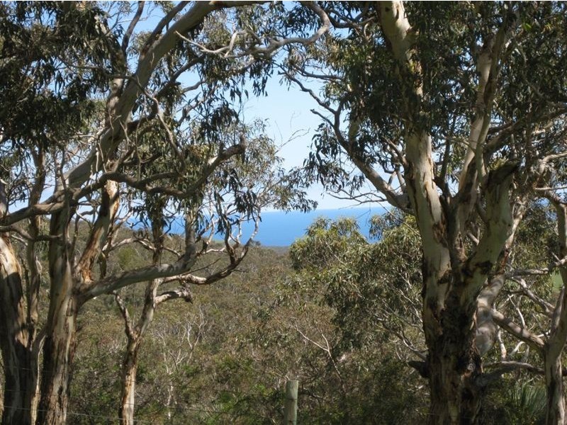 Sec 111 Mount Hayfield Road, Hay Flat SA 5204