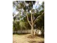 17 Main South Road, Normanville SA 5204