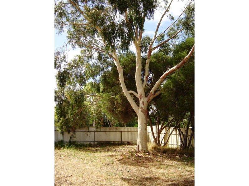 17 Main South Road, Normanville SA 5204