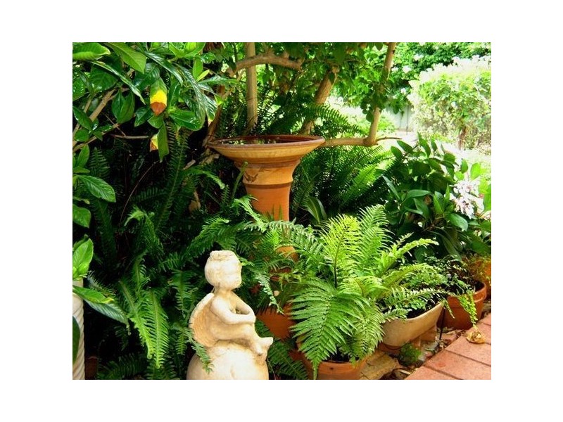 17 Herbert Street, Normanville SA 5204