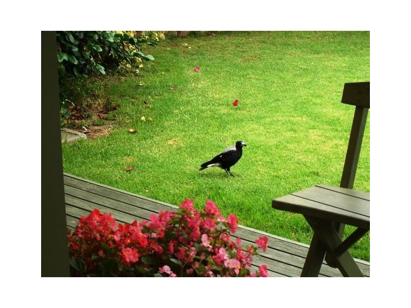 17 Herbert Street, Normanville SA 5204