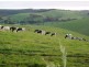 lot 30 Main Sth Rd, Delamere SA 5204