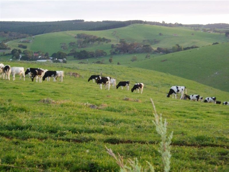 lot 30 Main Sth Rd, Delamere SA 5204