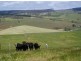 lot 30 Main Sth Rd, Delamere SA 5204