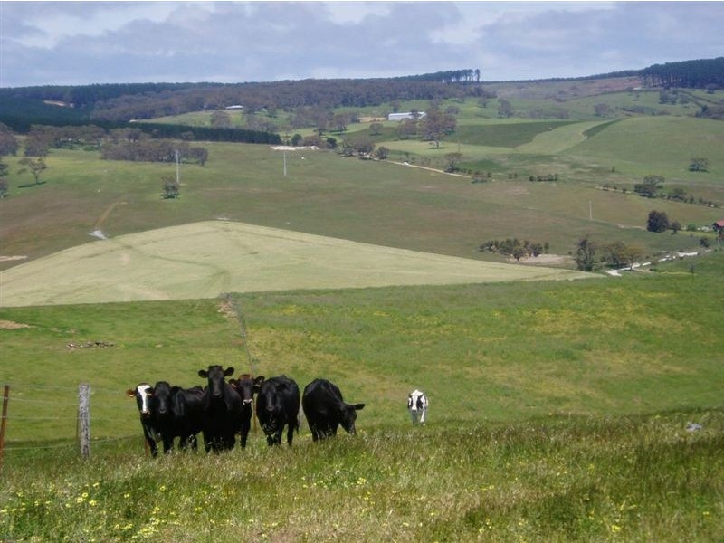lot 30 Main Sth Rd, Delamere SA 5204