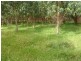 Lot 11&12 Rowley Road, Myponga SA 5202