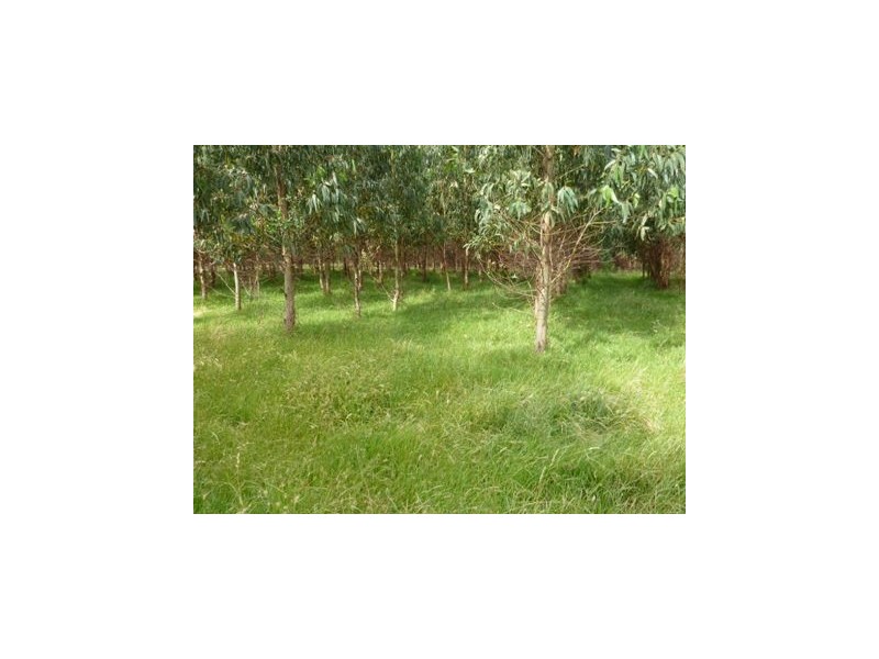 Lot 11&12 Rowley Road, Myponga SA 5202