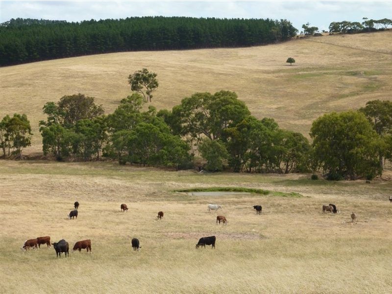 Lot 22 Wild Dog Creek Road, Wattle Flat SA 5203