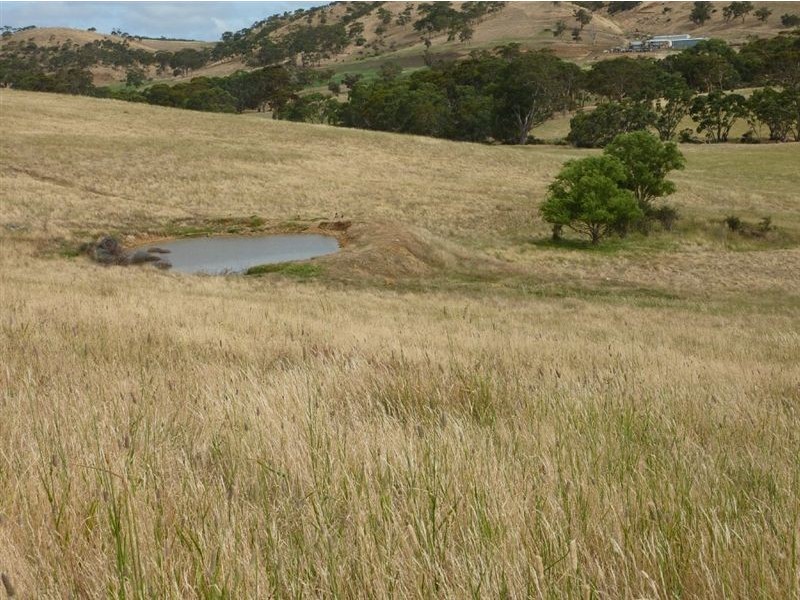 Lot 22 Wild Dog Creek Road, Wattle Flat SA 5203