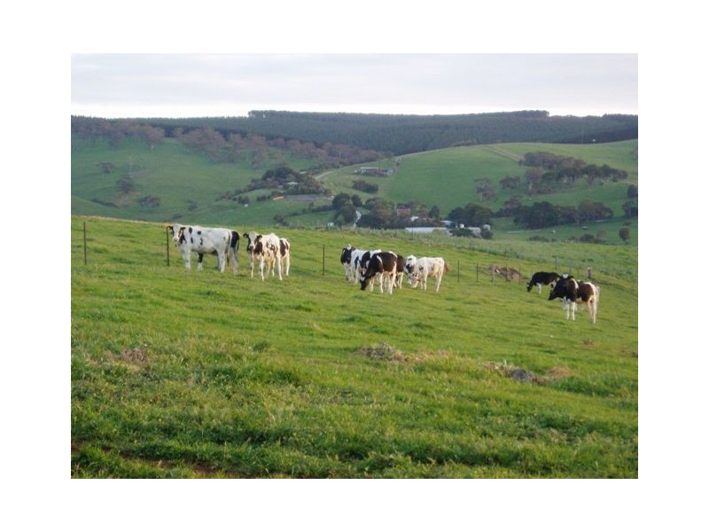 Lot 30 Main South Road, Second Valley SA 5204