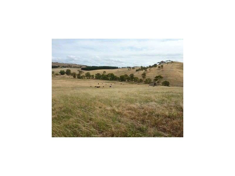 Lot 22 Wild Dog Creek Road, Wattle Flat SA 5203
