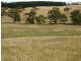 Lot 22 Wild Dog Creek Road, Wattle Flat SA 5203