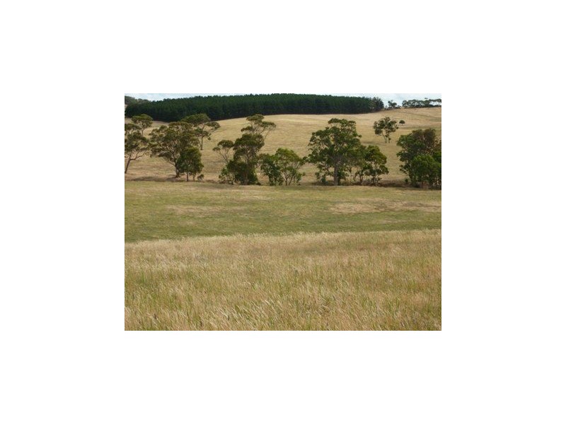 Lot 22 Wild Dog Creek Road, Wattle Flat SA 5203