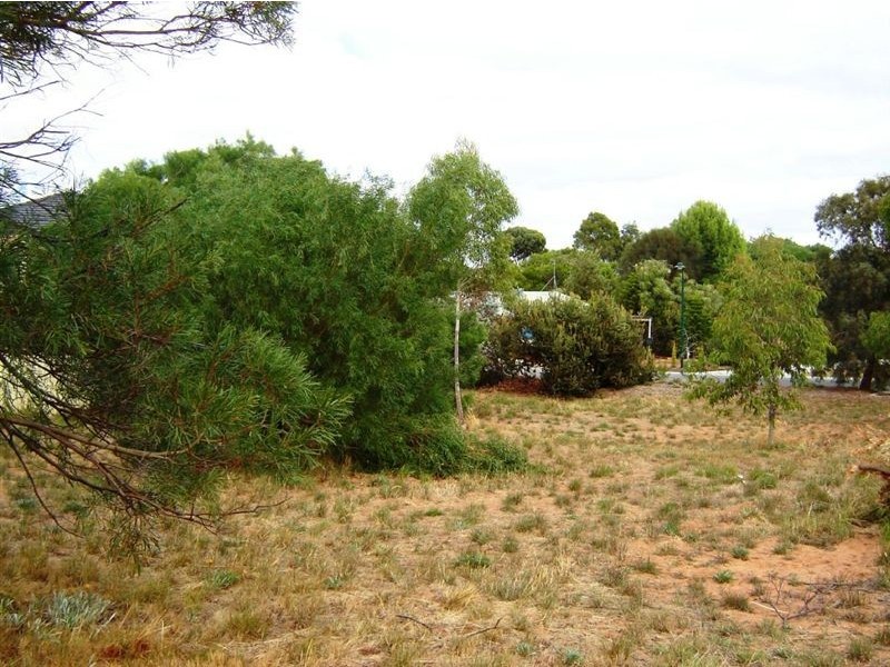 915 Edmund Street, Normanville SA 5204