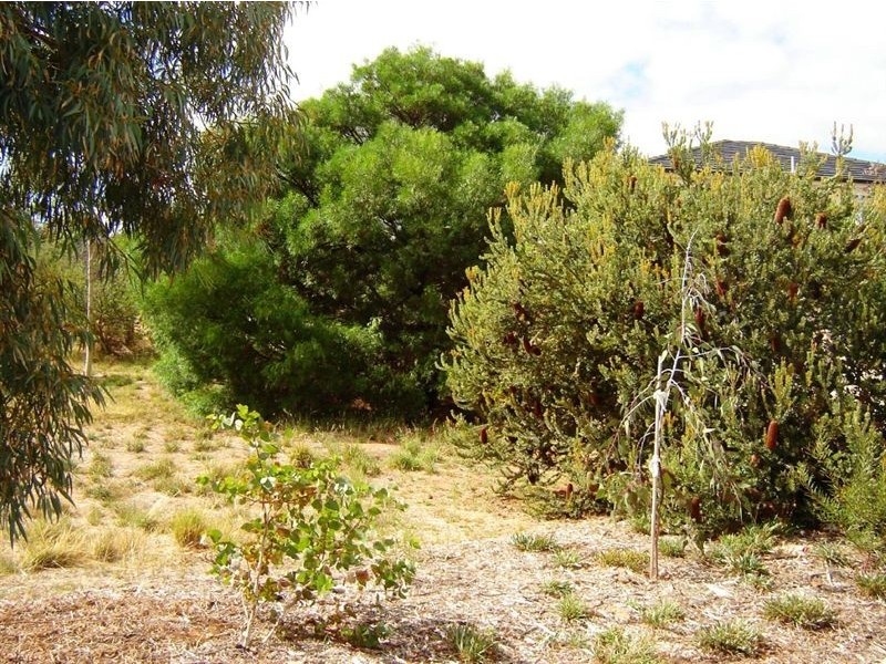 915 Edmund Street, Normanville SA 5204