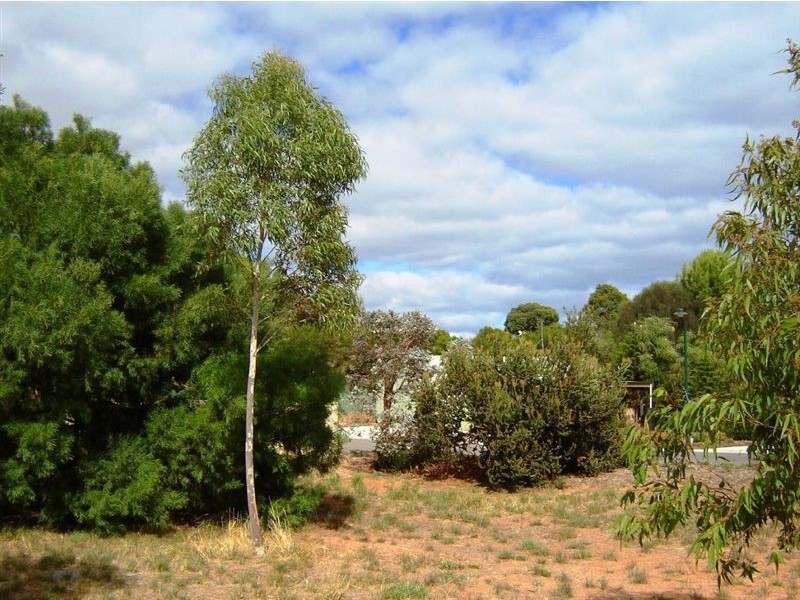 915 Edmund Street, Normanville SA 5204