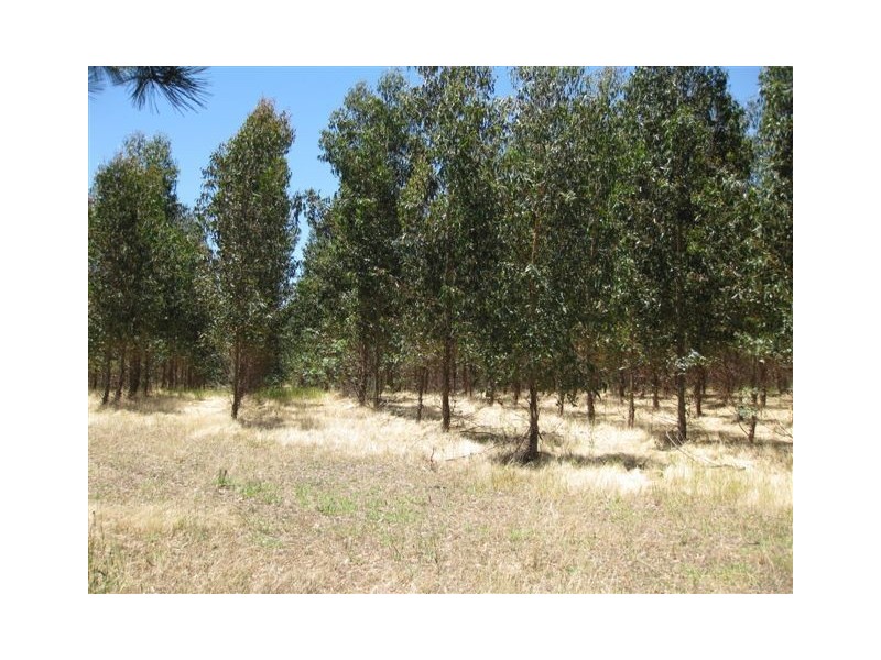 Allot 1 Cowell Road, Flaxman Valley SA 5235