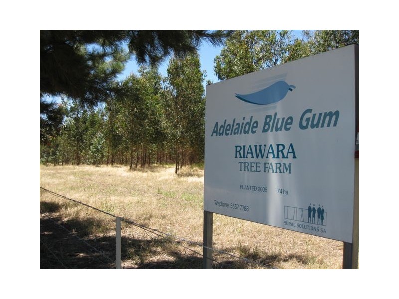 Allot 334 Cowell Road, Flaxman Valley SA 5235