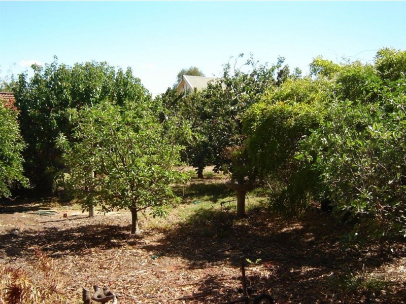 17 James Avenue, Normanville SA 5204