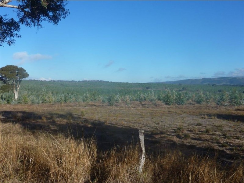 Lot 101 Hutchinson Road, Hindmarsh Valley SA 5211