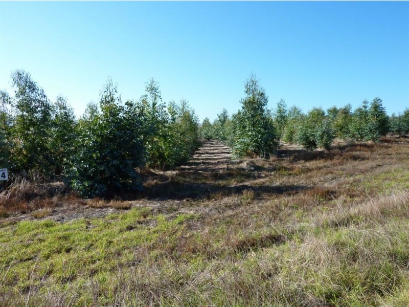 Lot 101 Hutchinson Road, Hindmarsh Valley SA 5211
