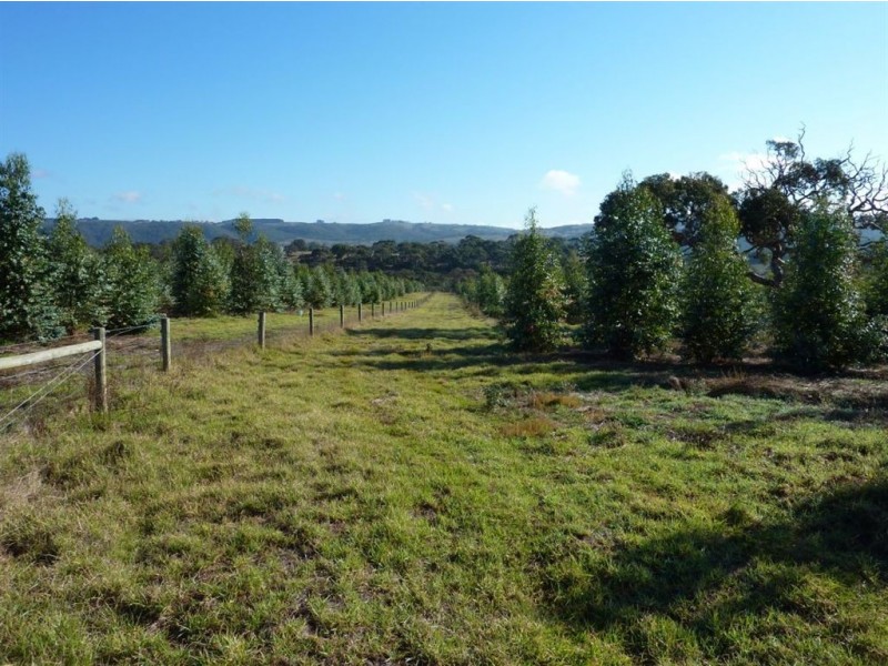 Lot 101 Hutchinson Road, Hindmarsh Valley SA 5211