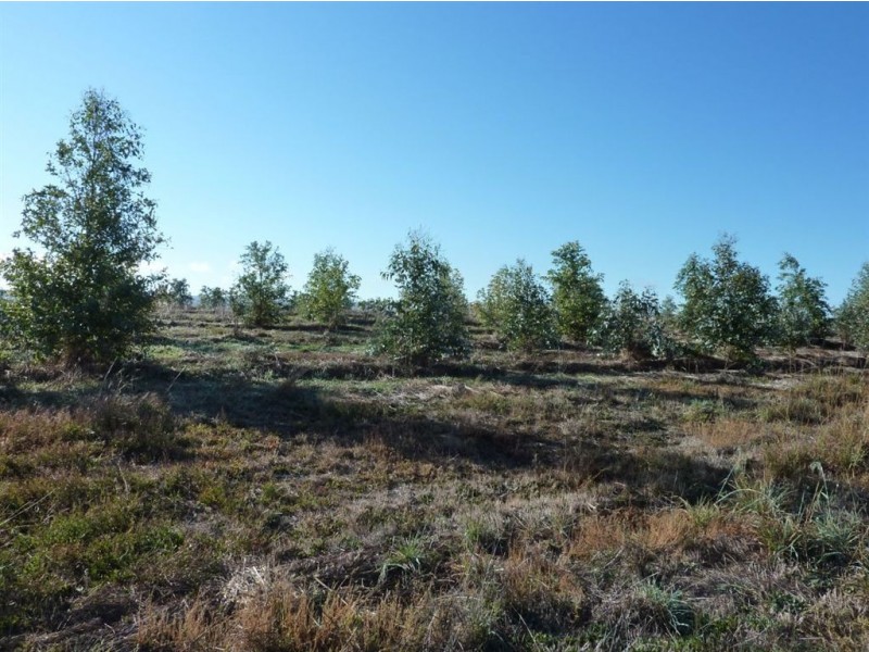 Lot 101 Hutchinson Road, Hindmarsh Valley SA 5211