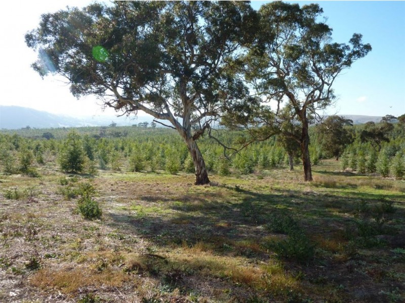 Lot 101 Hutchinson Road, Hindmarsh Valley SA 5211
