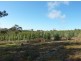 Lot 101 Hutchinson Road, Hindmarsh Valley SA 5211