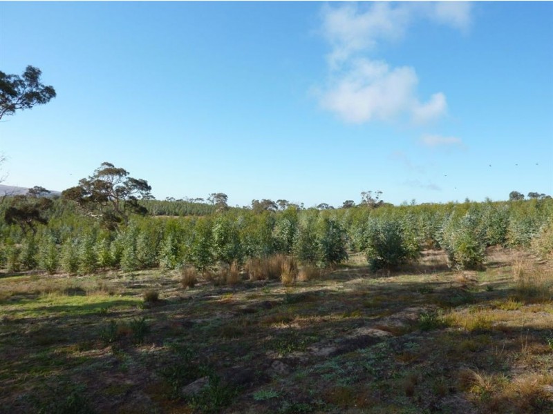 Lot 101 Hutchinson Road, Hindmarsh Valley SA 5211
