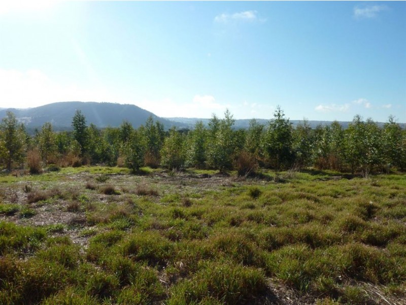 Lot 101 Hutchinson Road, Hindmarsh Valley SA 5211