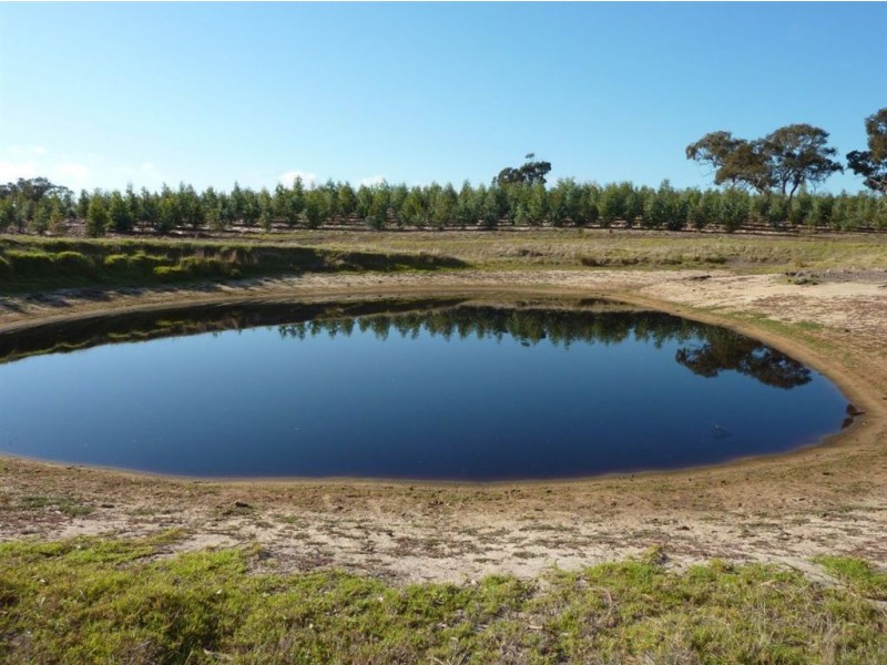 Lot 101 Hutchinson Road, Hindmarsh Valley SA 5211