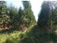 Lot 500 Munetta Road, Mount Compass SA 5210