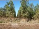 Lot 500 Munetta Road, Mount Compass SA 5210