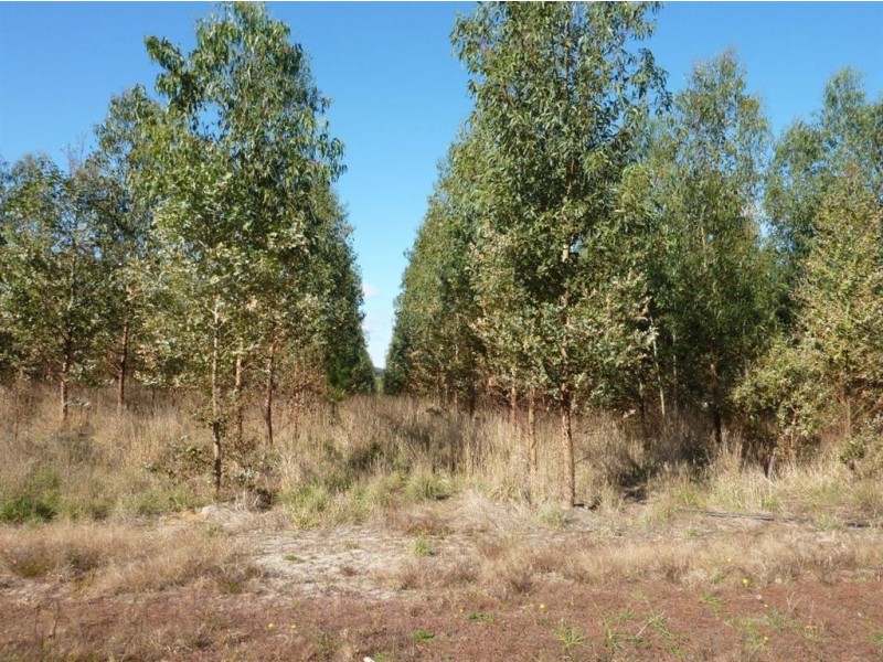 Lot 500 Munetta Road, Mount Compass SA 5210