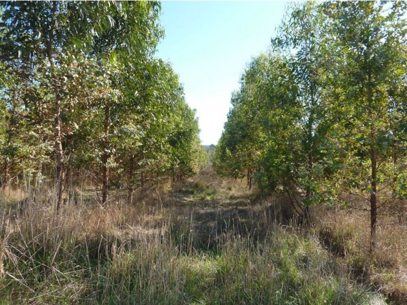 Lot 500 Munetta Road, Mount Compass SA 5210
