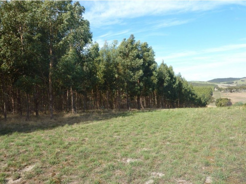 Lot 48 Lawless Lane, Mount Compass SA 5210