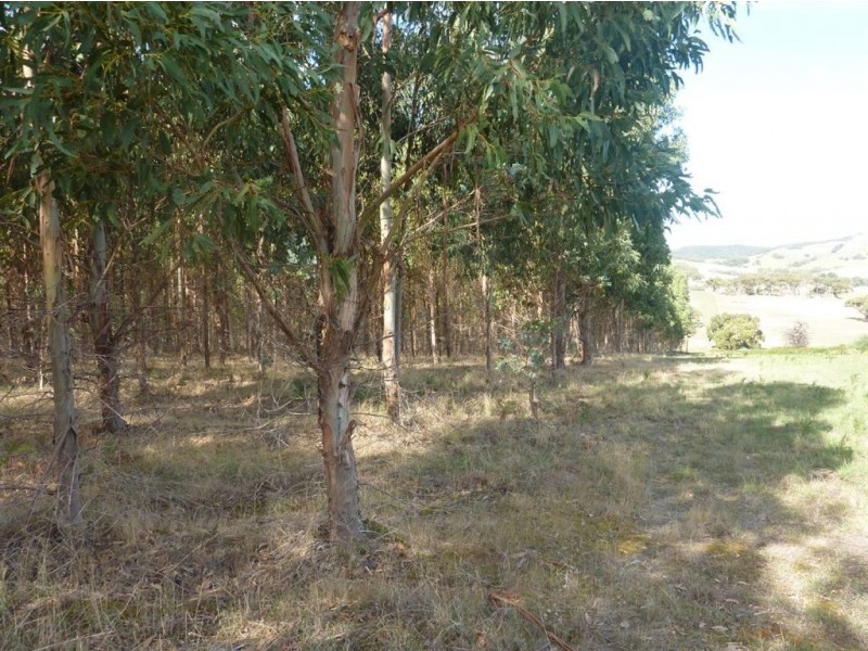 Lot 48 Lawless Lane, Mount Compass SA 5210