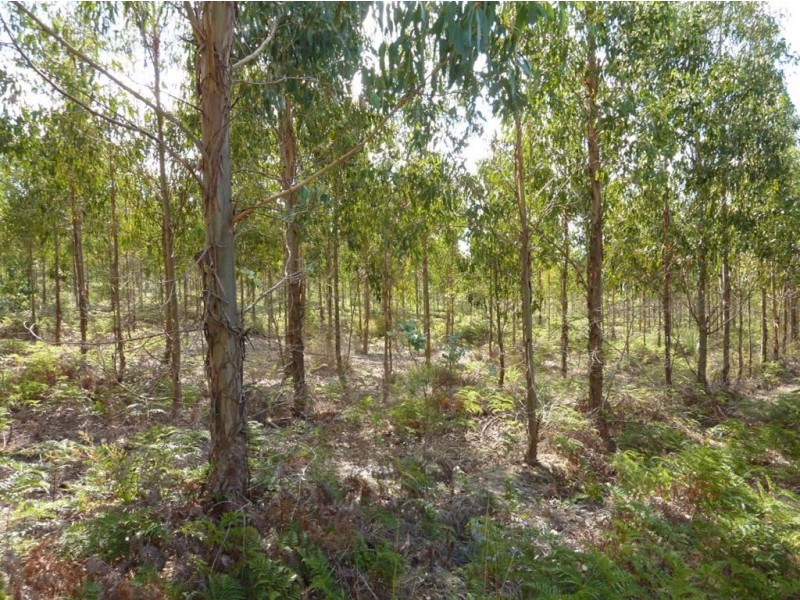 Lot 48 Lawless Lane, Mount Compass SA 5210