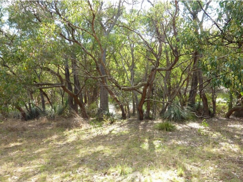 Lot 48 Lawless Lane, Mount Compass SA 5210