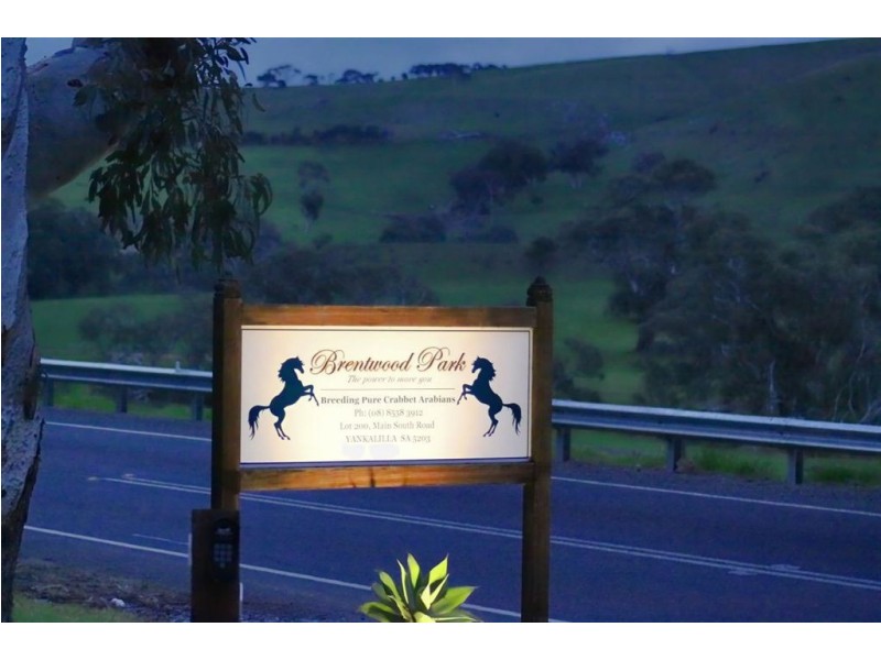 Lot 200 Main South Road, Wattle Flat SA 5203