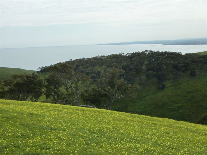 Lot 8 Myponga Beach Road, Myponga Beach SA 5202