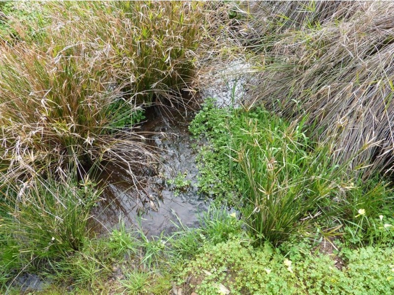 Lot 8 Myponga Beach Road, Myponga Beach SA 5202