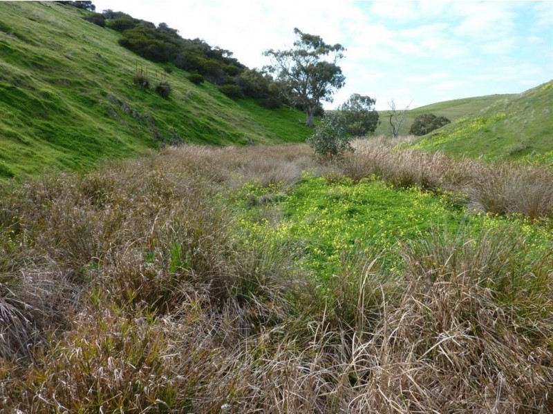 Lot 8 Myponga Beach Road, Myponga Beach SA 5202