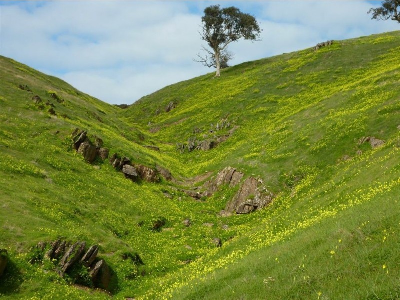 Lot 8 Myponga Beach Road, Myponga Beach SA 5202